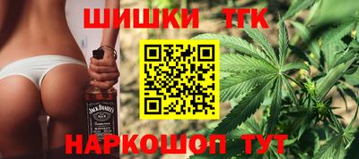 гашик Дубна