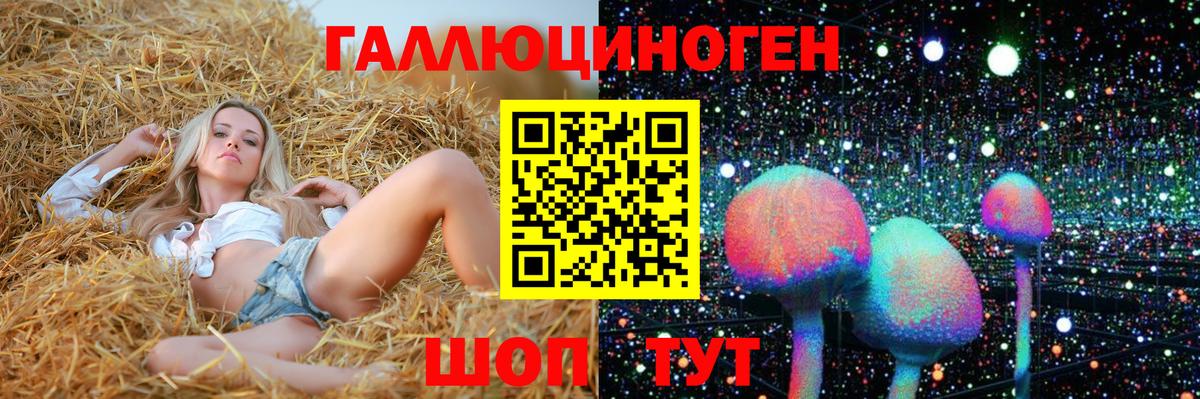 Псилоцибиновые грибы Psilocybine cubensis Михайловск