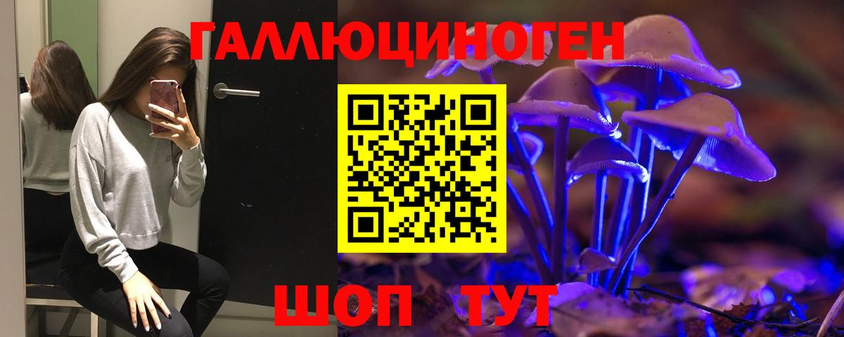 Михайловск  Псилоцибиновые грибы ЛСД  Вход с VPN 